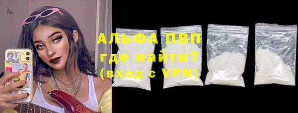 ешки Аркадак