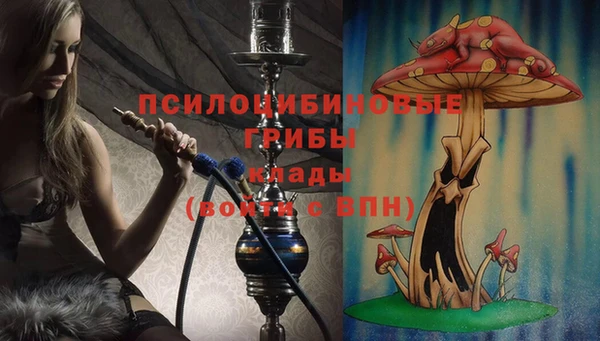 мескалин Баксан