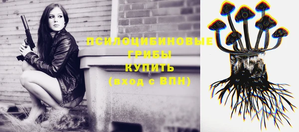 бутират Арсеньев