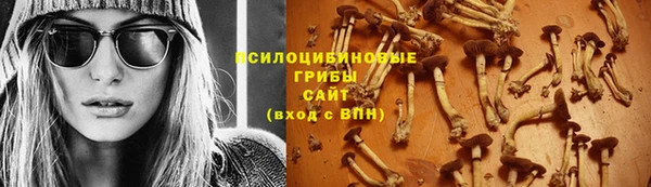 2c-b Армянск